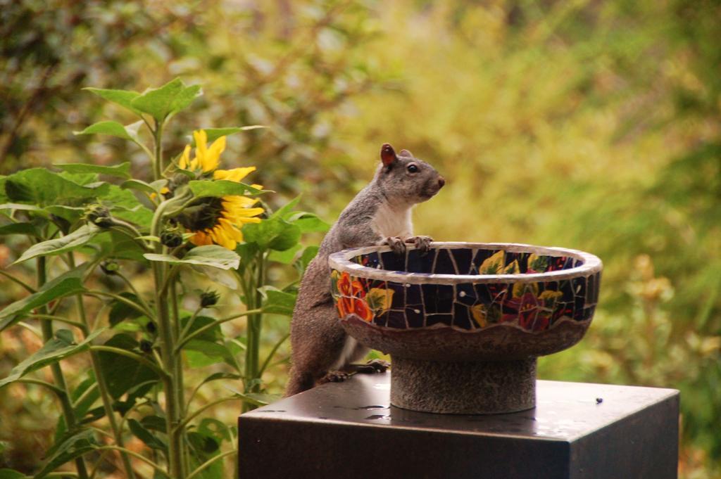 Brewery Gulch Inn & Spa Mendocino Dış mekan fotoğraf