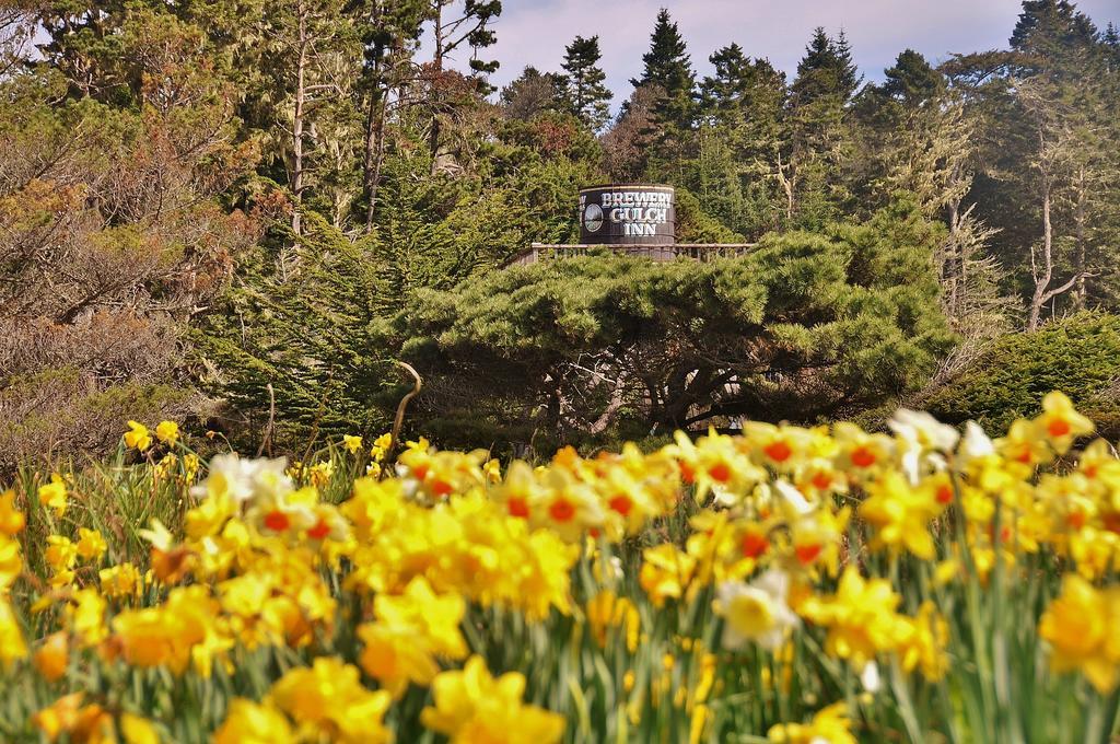 Brewery Gulch Inn & Spa Mendocino Dış mekan fotoğraf